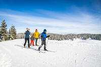 ©Benjamin BECKER / ENJ ©Benjamin BECKER / ENJ