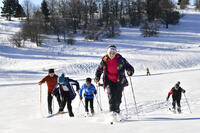 ©Laurent Cheviet ©Laurent Cheviet