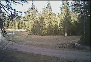 Morbier - Le Glacier